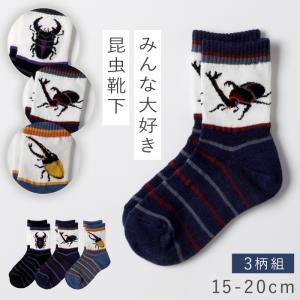 ���� �Ҷ� ���å� 3���� 15-20cm �ˤλ� ���� ��å��� ���� �ղ� �ܥ��Υ��֥ȥॷ�����塞�����å���