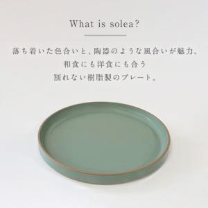 皿 プレート 21cm 割れない 日本製 陶器...の詳細画像2