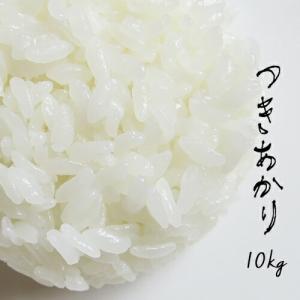 米 10kg 青森県産 5年産 特別栽培米 つきあかり 白米10kg（5kg×2）【米10kg】｜e-zakkokumai-y