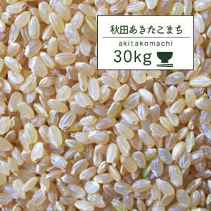 米 30kg 秋田こまち 5年産 秋田県産 あきたこまち 玄米30kg 秋田こまち【米30キロ】｜e-zakkokumai-y