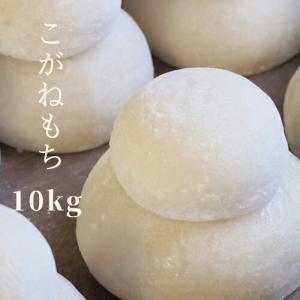 米 もち米 餅 糯米 5年産 秋田県産 こがねもち 白米10kg（5kg×2）【もち米10kg】｜e-zakkokumai-y