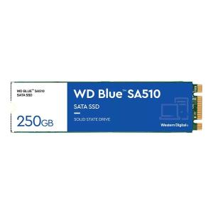 Western Digital ウエスタンデジタル 250GB WD Blue SA510 SATA 内蔵ソリッドステートドライブ M.2 SATA SSD 250GB WDS250G3B0B(2545640)