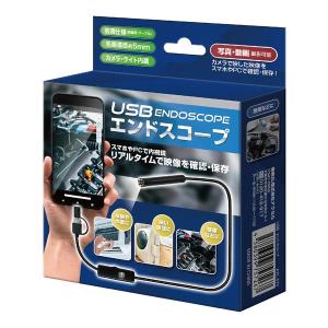 AXCEL アクセル USBエンドスコープ ブラック AXL-573 (2582423)の商品画像