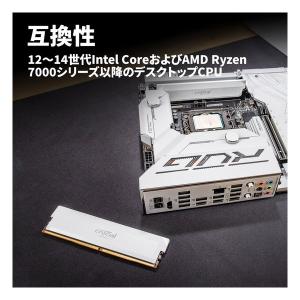 crucial クルーシャル Crucial ...の詳細画像3