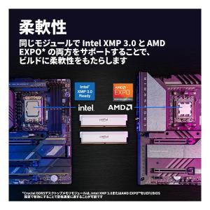 crucial クルーシャル Crucial ...の詳細画像4