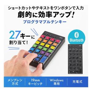 SANWA SUPPLY サンワサプライ プロ...の詳細画像1