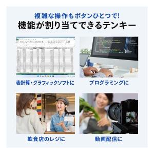 SANWA SUPPLY サンワサプライ プロ...の詳細画像2