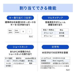 SANWA SUPPLY サンワサプライ プロ...の詳細画像4