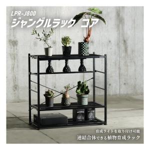 BIBIPLANTS ビビプランツ ジャングル...の詳細画像2