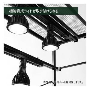 BIBIPLANTS ビビプランツ ジャングル...の詳細画像3