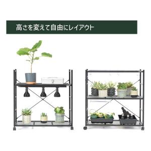 BIBIPLANTS ビビプランツ ジャングル...の詳細画像4
