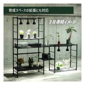 BIBIPLANTS ビビプランツ ジャングル...の詳細画像5