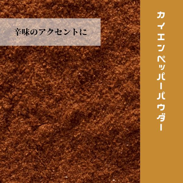 カイエンペッパーパウダー 20g 唐辛子 スパイス 粉末 香辛料