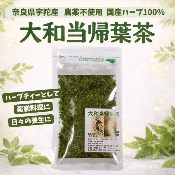 奈良県産無農薬 大和当帰葉茶 10g ハーブティー お茶 健康茶 ／国産・奈良県産