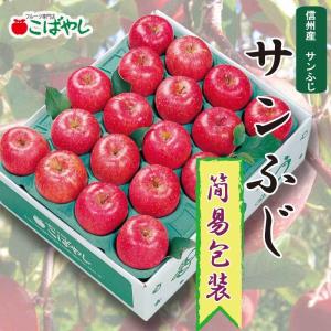 【サンふじ簡易包装】5kg入12〜20個/信州産りんご/こばやしのりんご/自家用/フルーツ専門店/帰省暮/帰歳暮