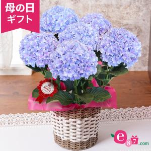 ポインセチア 鉢の商品一覧 通販 Yahoo ショッピング