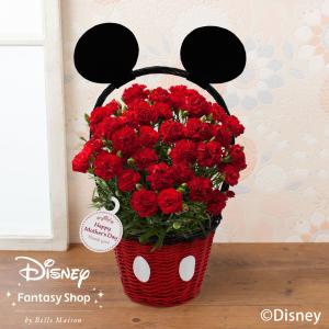 Disney 生花の商品一覧 花 ガーデニング 通販 Yahoo ショッピング