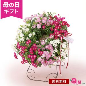 母の日 ギフト プレゼント レンゲローズ 鉢植え 「Welcome　Rose」 3色 スタンド付き 赤 白 ピンク 華やか ミニバラ リース 玄関 フラワーギフト 贈り物｜e87ys