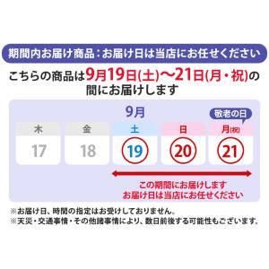 敬老の日 鉢植え「八重咲きアザレア」 5号 花...の詳細画像3