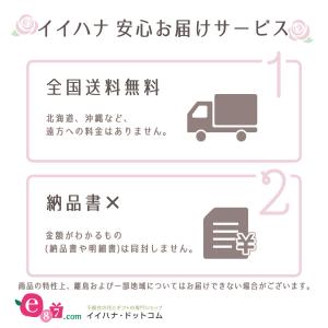 敬老の日 鉢植え「八重咲きアザレア」 5号 花...の詳細画像4