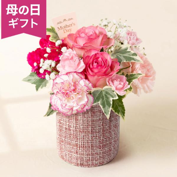母の日　アレンジメント「マザー・ブロッサム」 アレンジ 生花 カーネーション バラ ピンク 2026...