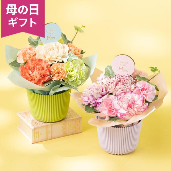 母の日　アレンジメント「マザーズ・ピンク/オランジェ」 選べる2種 アレンジ 生花 カーネーション ...