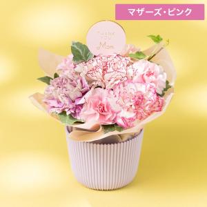早割 母の日 アレンジメント「マザーズ・ピンク...の詳細画像1