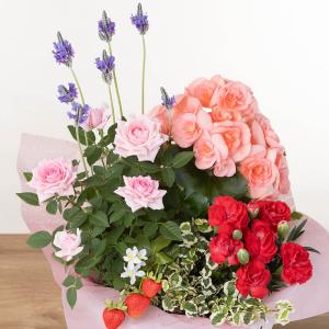 母の日 寄せ鉢「マムズ・バスケット」 鉢植え ...の詳細画像3