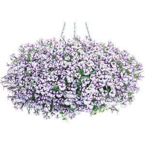 母の日 鉢植え「スーパーチュニア(R) ビスタ...の詳細画像4