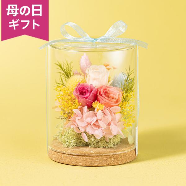 母の日 プリザーブドフラワー「メルシー・ドーム」 ドーム 枯れない花 ピンク コンパクト バラ 20...