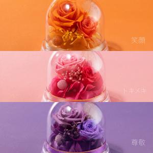 敬老の日 プリザーブドフラワー 選べる6色「ハ...の詳細画像3