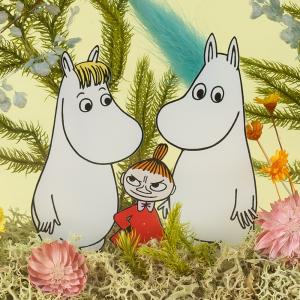プリザーブドフラワー ムーミン MOOMIN ...の詳細画像3