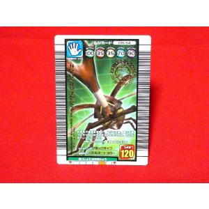 【別売り用】ムシキング 甲虫王者ムシキング スーパーコレクション : Forest Fairy