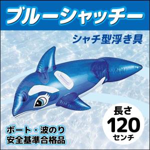 フロート ブルーシャッチー 120cm 取っ手つき 浮き具 【特価】｜eakindo2