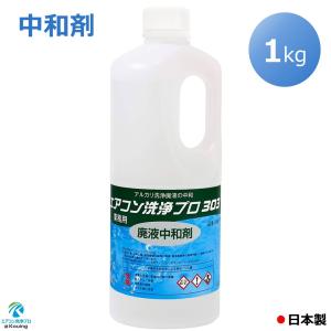 リンス剤 アルミフィン フィルター リンス 処理 1kg エアコン洗浄 プロ