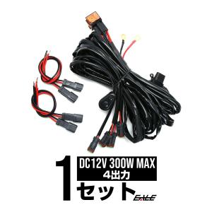 DTコネクタ 電源リレーハーネス 3m 4出力 マウススイッチ 12V用 LED作業灯やフォグランプの取り付けに I-443｜eale