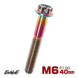 チタンボルト M6×40mm P1.00 六角ボルト フランジ付き 焼きチタン風 虹色 カッティング  JA058｜eale