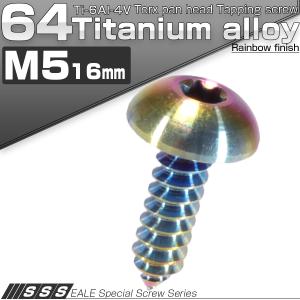 タッピングネジ M5×16mm チタン トルクス トラス シルバー チタン原色