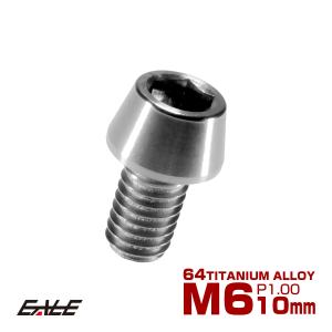 チタンボルト M6×10mm P1.0 キャップボルト 六角穴付き シルバー素地色 テーパー JA101