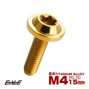 チタンボルト M5×10mm P0.8 ボタンボルト 六角穴 焼きチタンカラー