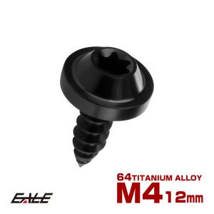 タッピングネジ M4×12mm チタン トルクス...の商品画像