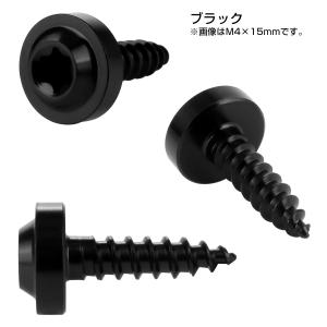 タッピングネジ M4×12mm チタン トルク...の詳細画像2