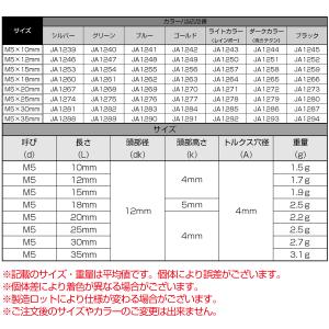 タッピングネジ M4×12mm チタン トルク...の詳細画像5