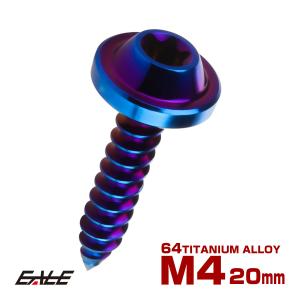 タッピングネジ M4×20mm チタン トルクス穴 フランジ付き ビス 焼きチタン JA1029｜eale