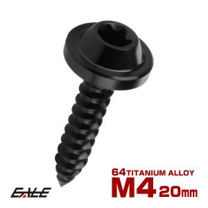 タッピングネジ M5×15mm チタン トルクス穴 フランジ付き ビス