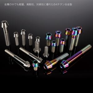 チタンボルト M6×30mm P1.0 キャッ...の詳細画像3