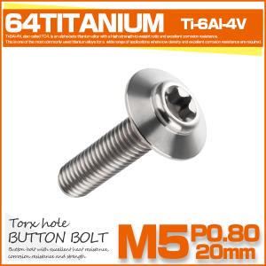 チタンボルト M5×20mm P0.8 ボタンボルト トルクス穴 シルバー JA1098｜eale