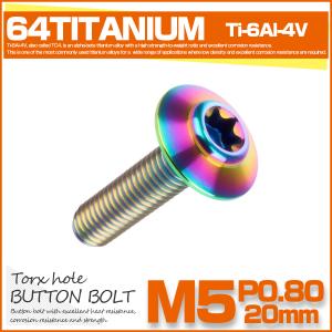 チタンボルト M5×20mm P0.8 ボタンボルト トルクス穴 レインボー 虹色 JA1099｜eale