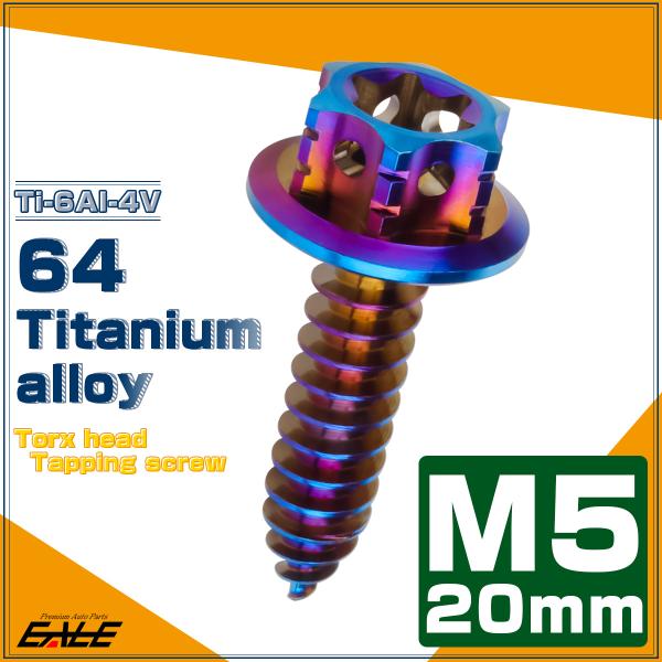 タッピングネジ M5×20mm チタン トルクス穴 フランジ付 ビス 焼きチタン ダークカラー ヘキ...