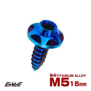 タッピングネジ M5×18mm チタン トルクス穴 フランジ付き ビス ダーク